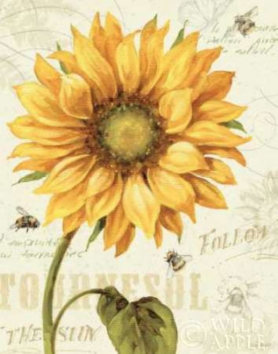 Under the Sun I Canvas Art - Lisa Audit (22 x 28)