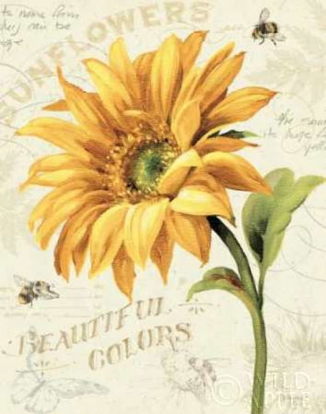 Under the Sun II Canvas Art - Lisa Audit (22 x 28)