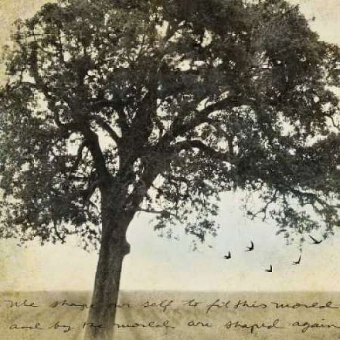 Under the Trees I Canvas Art - Amy Melious (24 x 24)