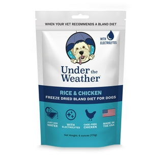 Bland Food Diet Dogs
