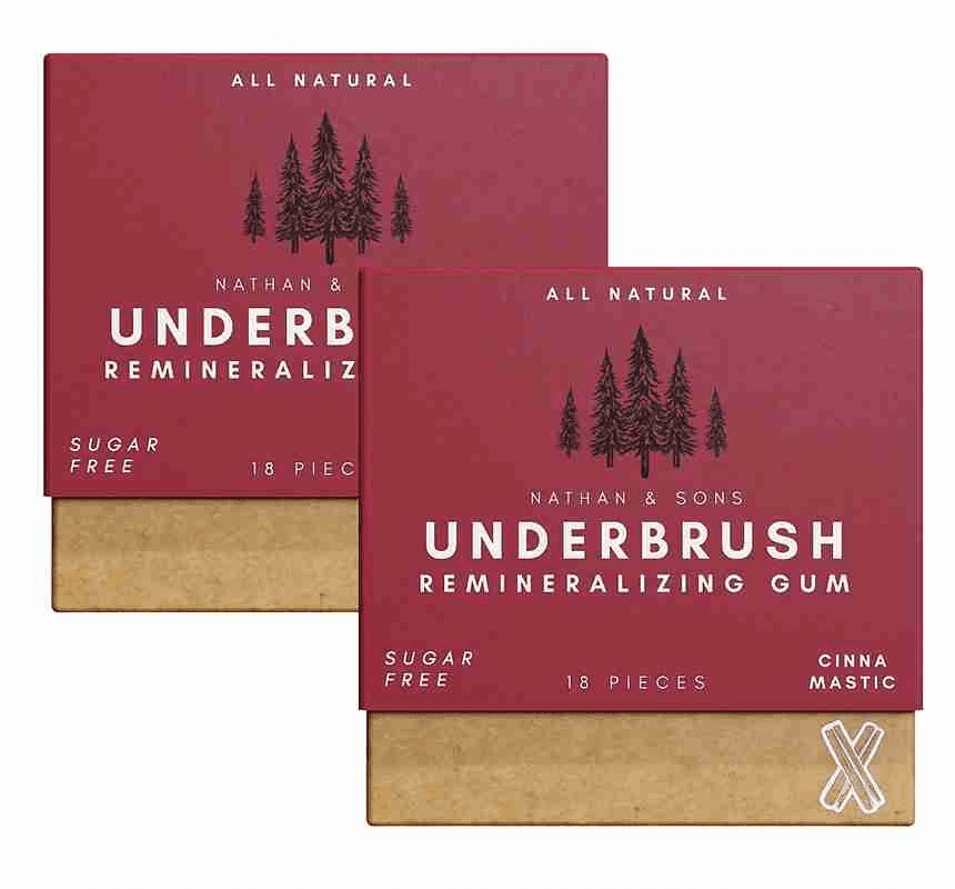 UnderBrush Cinna-Mastic Chewing Gum – Sugar-Free Xylitol Gum with Hydroxyapatite – No Gluten, Sugar, Aspartame and Sucralose - Tree Sap Chewing Base – 2 Pack