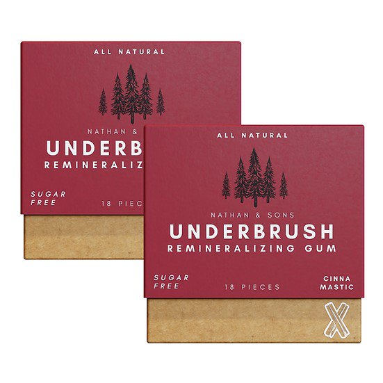 Underbrush Gum CINNA MASTIC Organic Cinnamon Gum Cubes Remineralizing
