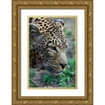 thumbnail image 1 of Underdahl, Dana 11x14 Gold Ornate Wood Framed with Double Matting Museum Art Print Titled - Leopard II, 1 of 4