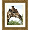 thumbnail image 1 of Underdahl, Dana 12x14 Gold Ornate Wood Framed with Double Matting Museum Art Print Titled - Giraffe Portrait IV, 1 of 4