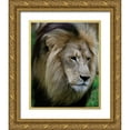 thumbnail image 1 of Underdahl, Dana 12x14 Gold Ornate Wood Framed with Double Matting Museum Art Print Titled - Lion III, 1 of 4