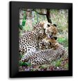 thumbnail image 1 of Underdahl, Dana 14x18 Black Modern Framed Museum Art Print Titled - Cheetah III, 1 of 5