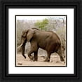 thumbnail image 1 of Underdahl, Dana 15x15 Black Ornate Wood Framed with Double Matting Museum Art Print Titled - Elephant II, 1 of 4