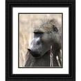 thumbnail image 1 of Underdahl, Dana 20x24 Black Ornate Wood Framed with Double Matting Museum Art Print Titled - Baboon Portrait II, 1 of 4