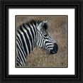 thumbnail image 1 of Underdahl, Dana 26x26 Black Ornate Wood Framed with Double Matting Museum Art Print Titled - Sarari Zebra VII, 1 of 4