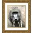 thumbnail image 1 of Underdahl, Dana 26x32 Gold Ornate Wood Framed with Double Matting Museum Art Print Titled - Baboon Portrait I, 1 of 4