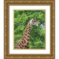 thumbnail image 1 of Underdahl, Dana 26x32 Gold Ornate Wood Framed with Double Matting Museum Art Print Titled - Giraffe II, 1 of 4