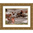 thumbnail image 1 of Underdahl, Dana 32x24 Gold Ornate Wood Framed with Double Matting Museum Art Print Titled - Hippo V, 1 of 4