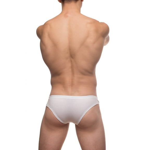 Undergear Contour French Brief