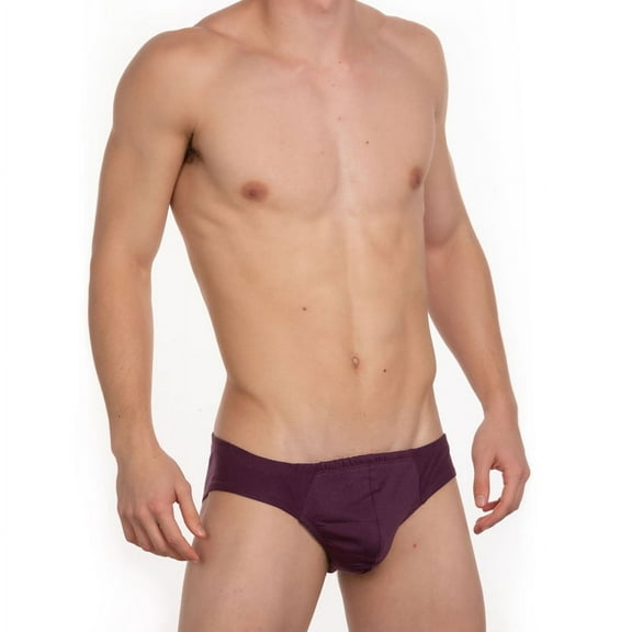 Undergear Contour French Brief