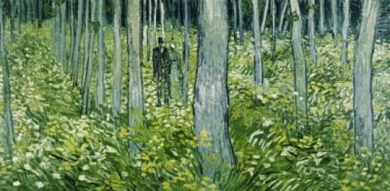 Undergrowth with Two Figures 1890 Vincent van Gogh (1853-1890Dutch) Oil on canvas Cincinnati Art Museum Ohio Canvas Art - Vincent van Gogh (24 x 36)