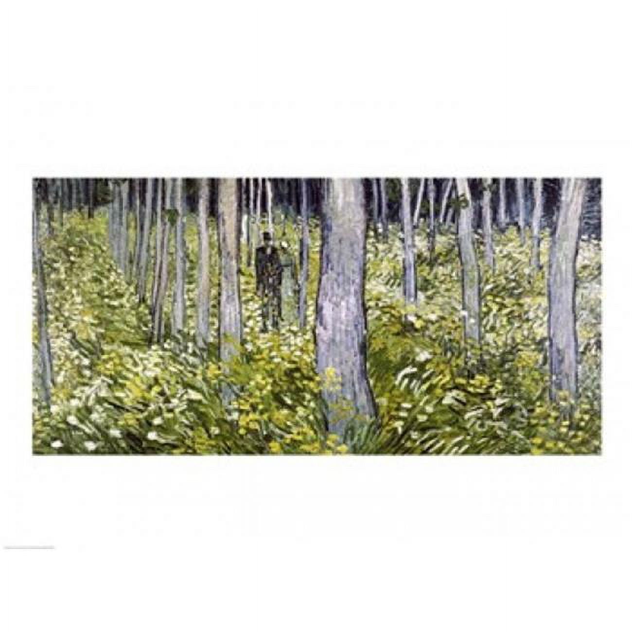 Undergrowth with Two Figures, 1890 Poster Print by Vincent Van Gogh (24