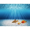 thumbnail image 1 of Undersea Aquarium Background, Blue Ocean Sea Sunshine Underwater Fish Tank, Sunlight Fish Tank Background Aquarium Decorations Poster with 8 EVA Double-Sided Tape, 1 of 5