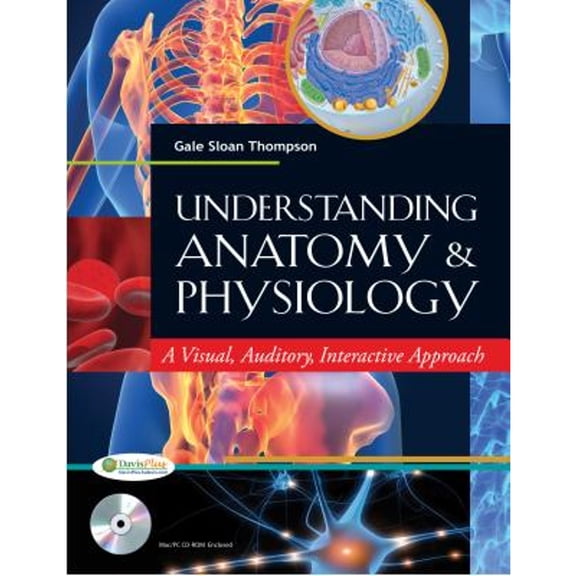 Pre-Owned Understanding Anatomy & Physiology: A Visual, Auditory, Interactive Approach (Paperback) by Gale Sloan Thompson