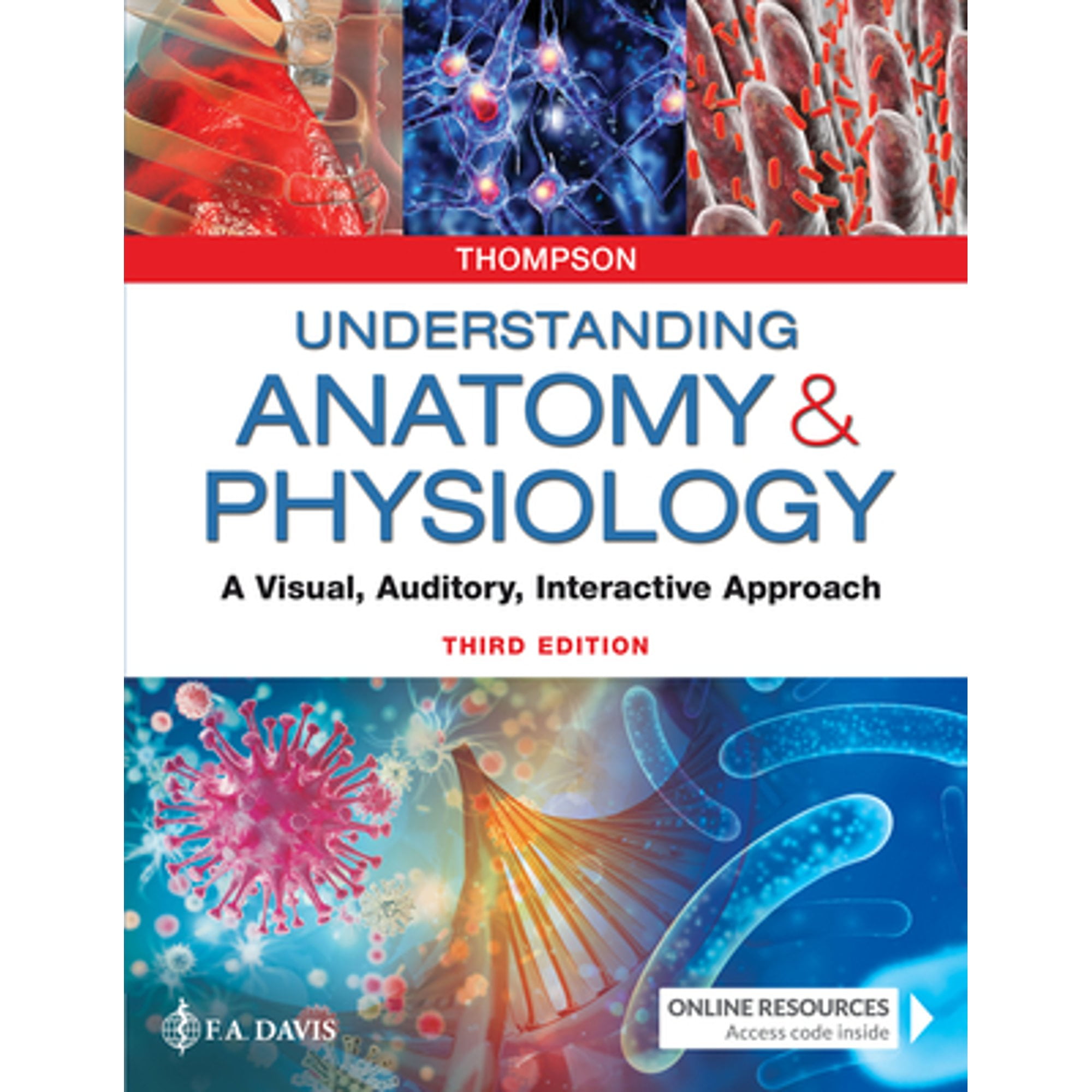 Pre-Owned Understanding Anatomy \u0026 Physiology : A Visual, Auditory, Interactive Approach, Paperback by Thompson, Gale Sloan, R.N., ISBN 080367645X, ISBN-13 9780803676459