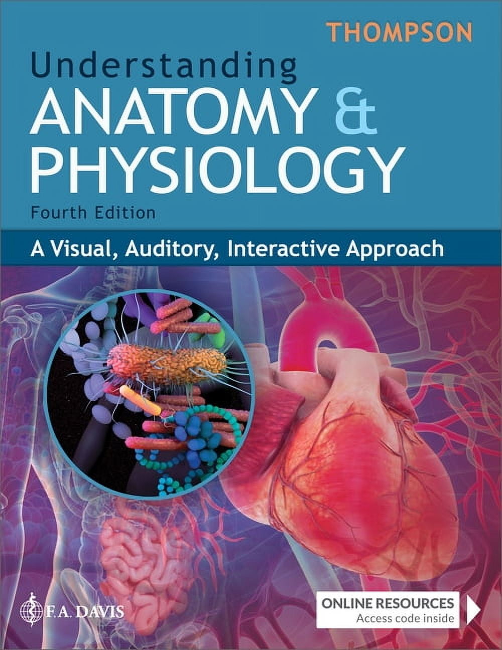 Understanding Anatomy \u0026 Physiology: A Visual, Auditory, Interactive Approach, (Paperback)