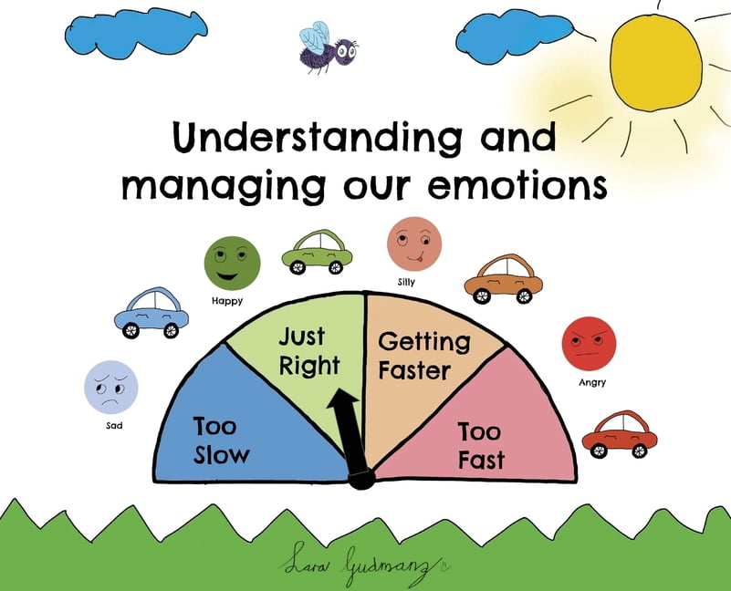 Understanding And Managing Our Emotions, (Hardcover)