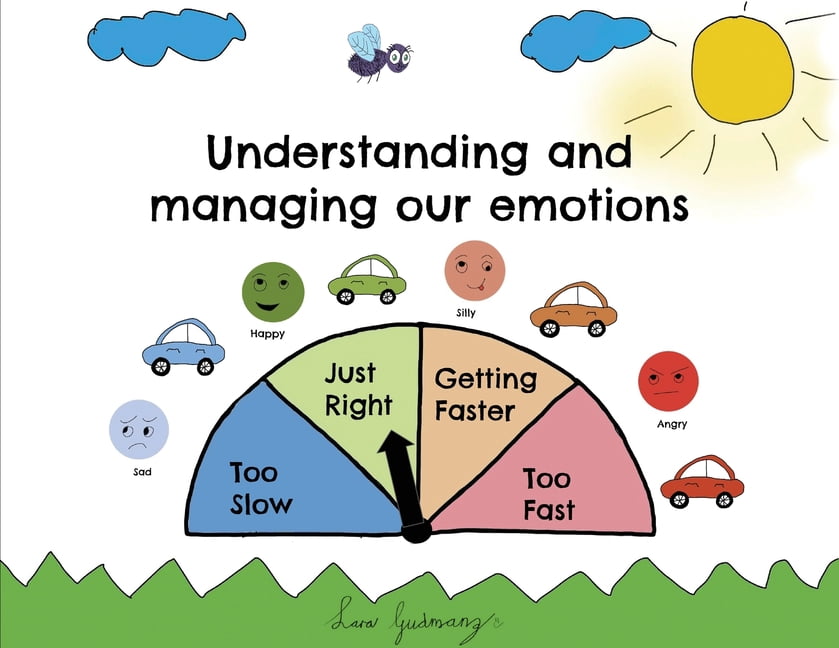 Understanding And Managing Our Emotions, (Paperback)