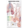 thumbnail image 1 of Understanding Asthma, 1 of 1