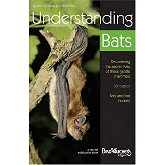 Pre-Owned Understanding Bats (Paperback) 1880241129 9781880241127