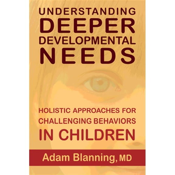 Pre-Owned Understanding Deeper Developmental Needs: Holistic Approaches for Challenging Behaviors in Children, (Paperback)