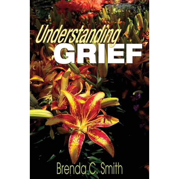 Understanding Grief (Paperback)