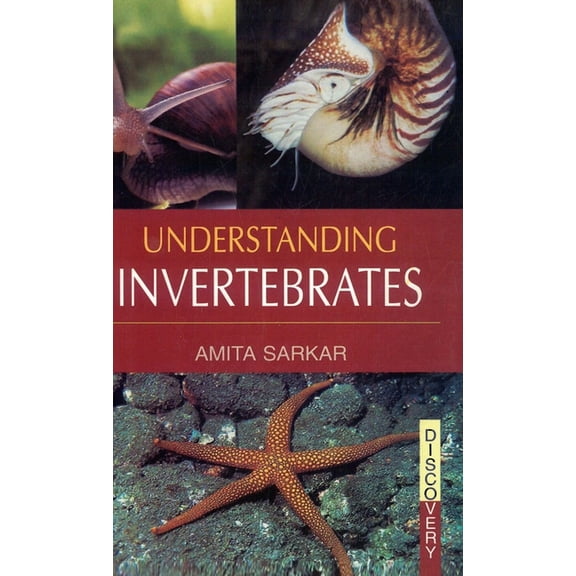 Understanding Invertebrates, (Hardcover)