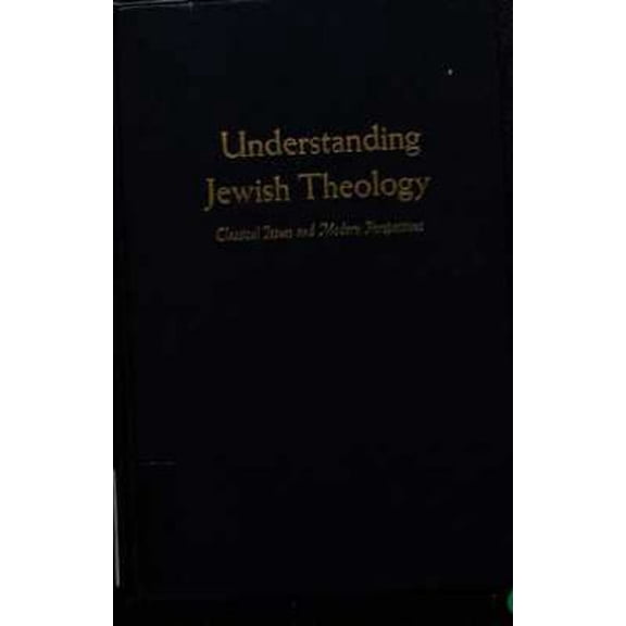 Pre-Owned Understanding Jewish Theology: Classical Issues and Modern Perspectives (Hardcover) 0870682156 9780870682155