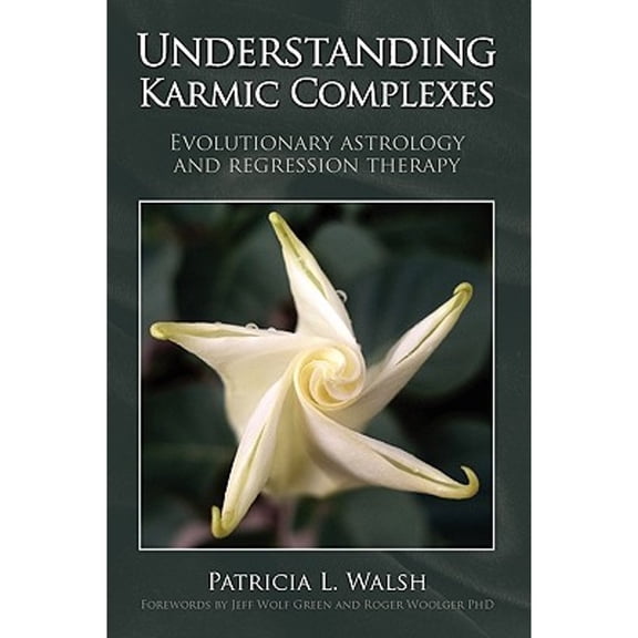 Pre-Owned Understanding Karmic Complexes (Paperback) 1902405439 9781902405438