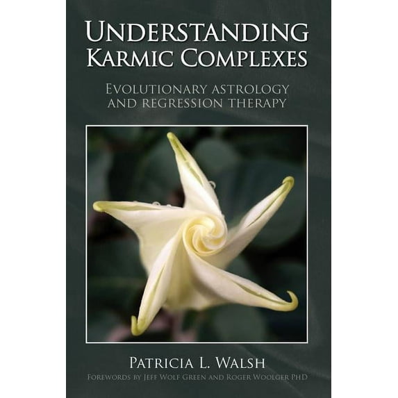 Understanding Karmic Complexes, (Paperback)