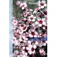 thumbnail image 1 of Understanding Language Understanding Discourse Analysis, (Paperback), 1 of 1