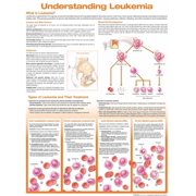 Understanding Leukemia Anatomical Chart Other