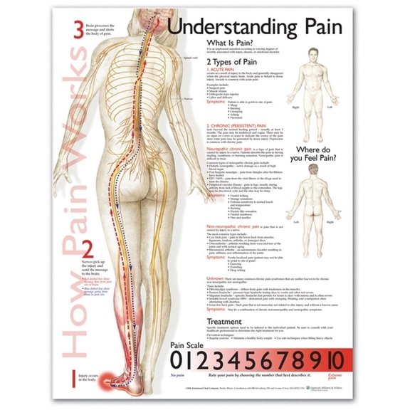Understanding Pain