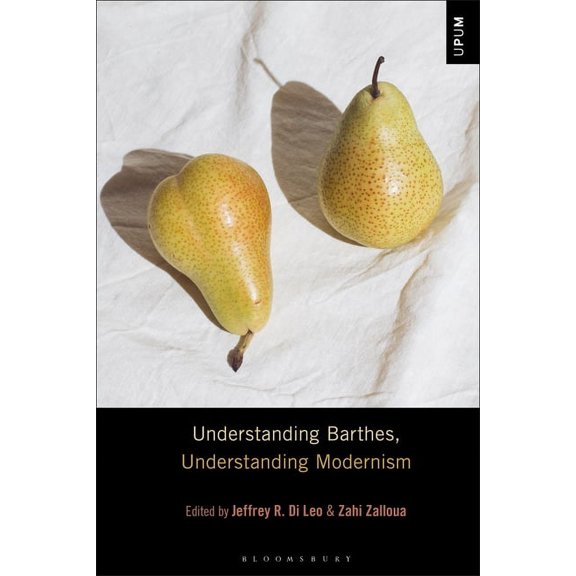 Understanding Philosophy, Understanding Understanding Barthes, Understanding Modernism, (Paperback)
