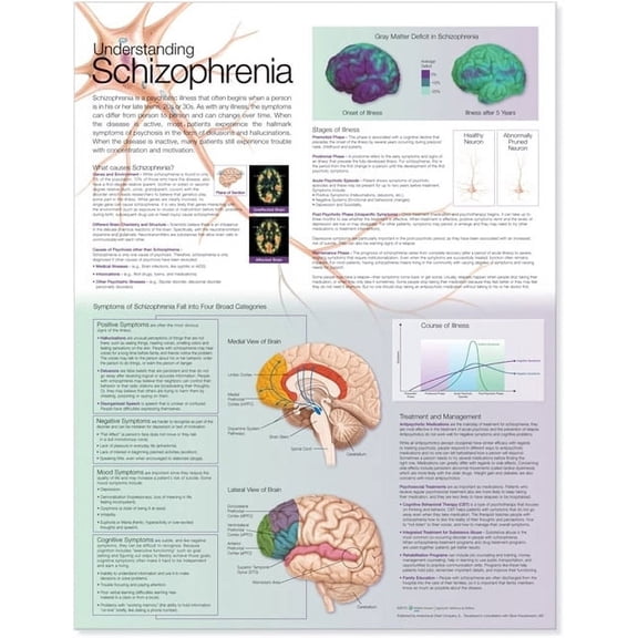 Understanding Schizophrenia Anatomical Chart (Other)