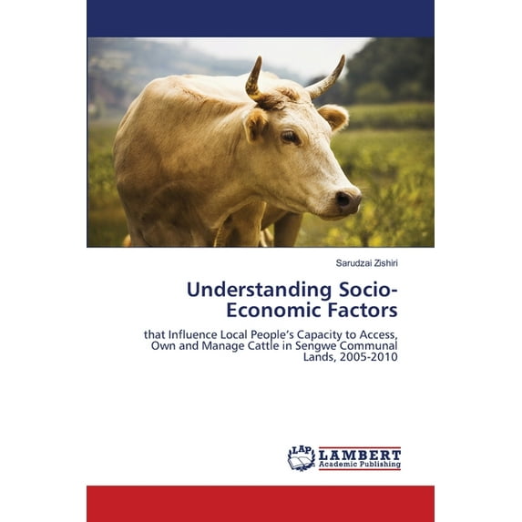 Understanding Socio-Economic Factors (Paperback)