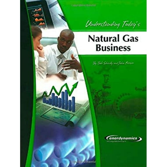 Pre-Owned Understanding Today's Natural Gas Business (Paperback) 0974174408 9780974174402