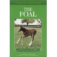 thumbnail image 1 of Pre-Owned Understanding the Foal: Your Guide to Horse Health Care and Management (The Horse Health Care Library Series) (Paperback) 1581500084 9781581500080, 1 of 1
