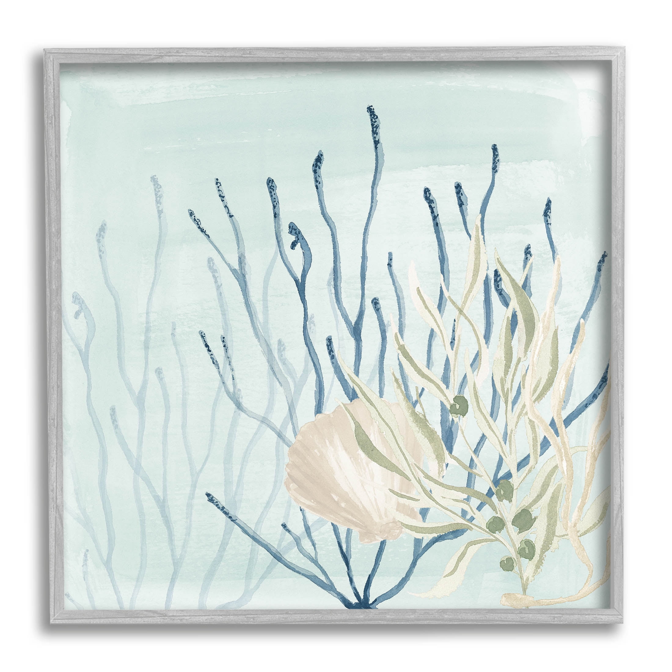 Underwater Coral Shells View Animals & Insects Graphic Art Gray Framed Art Print Wall Art