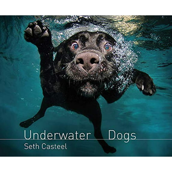 Pre-Owned Underwater Dogs Paperback