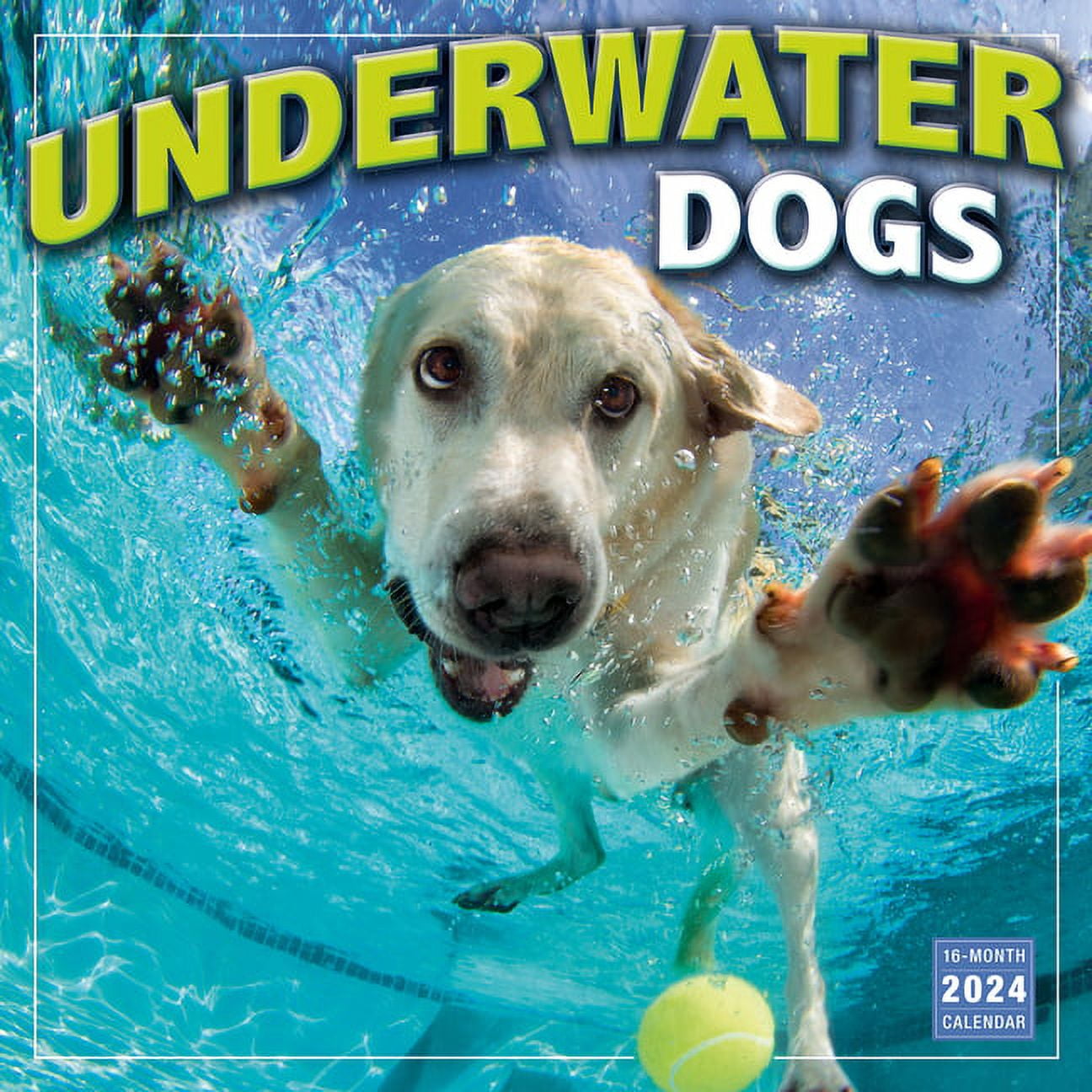 Underwater Dogs Photography by Seth Casteel (Calendar)