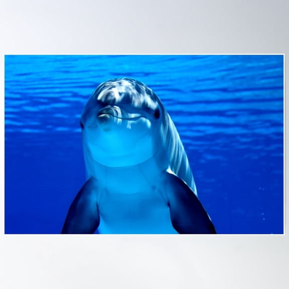 Underwater Dolphin Picture Poster Wall Art, Modern Wall Decor For Living Room Bedroom, 8x12 UNFRAMED