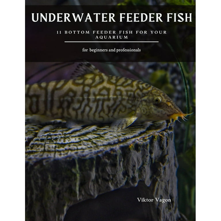 Underwater Feeder Fish : 11 Bottom Feeder Fish For Your Aquarium (Paperback)