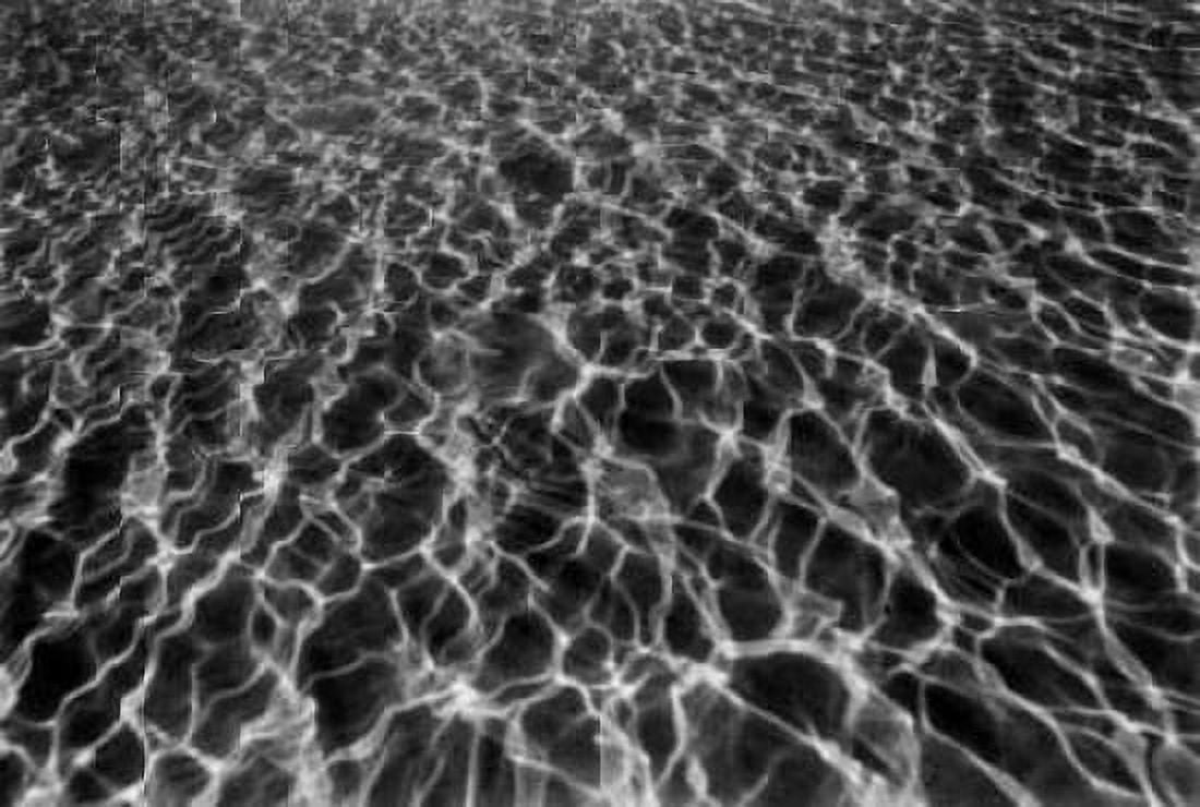 Underwater I Canvas Art - Lee Peterson (24 x 36)