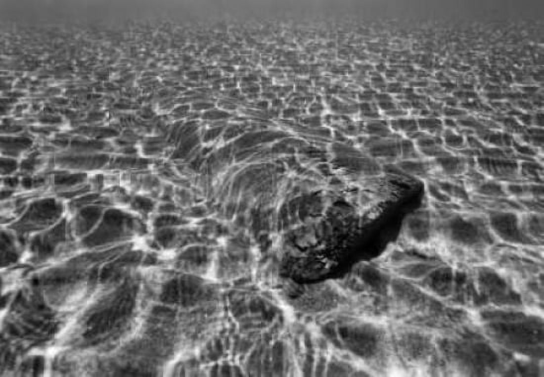 Underwater III Canvas Art - Lee Peterson (20 x 28)