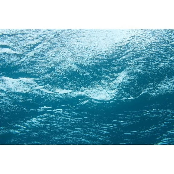 Underwater Image Poster Print